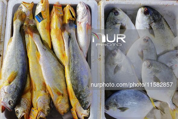 Citizens buy various kinds of seafood unloaded at Jimiya fishing Port in the West Coast New Area in Qingdao, China, on September 18, 2024. 