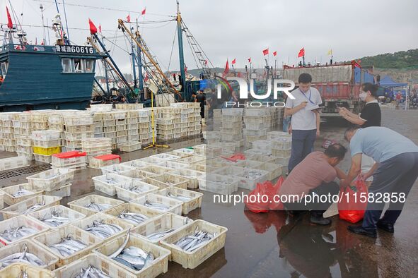 Citizens buy various kinds of seafood unloaded at Jimiya fishing Port in the West Coast New Area in Qingdao, China, on September 18, 2024. 