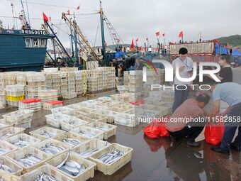 Citizens buy various kinds of seafood unloaded at Jimiya fishing Port in the West Coast New Area in Qingdao, China, on September 18, 2024. (