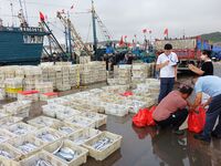 Citizens buy various kinds of seafood unloaded at Jimiya fishing Port in the West Coast New Area in Qingdao, China, on September 18, 2024. (