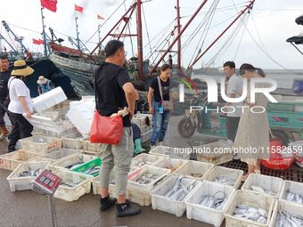 Citizens buy various kinds of seafood unloaded at Jimiya fishing Port in the West Coast New Area in Qingdao, China, on September 18, 2024. (