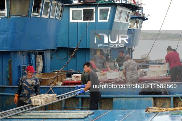 Citizens buy various kinds of seafood unloaded at Jimiya fishing Port in the West Coast New Area in Qingdao, China, on September 18, 2024. 