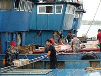 Citizens buy various kinds of seafood unloaded at Jimiya fishing Port in the West Coast New Area in Qingdao, China, on September 18, 2024. (