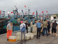 Citizens buy various kinds of seafood unloaded at Jimiya fishing Port in the West Coast New Area in Qingdao, China, on September 18, 2024. (