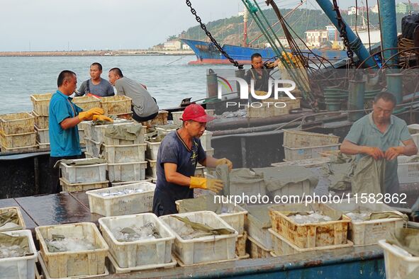 Citizens buy various kinds of seafood unloaded at Jimiya fishing Port in the West Coast New Area in Qingdao, China, on September 18, 2024. 