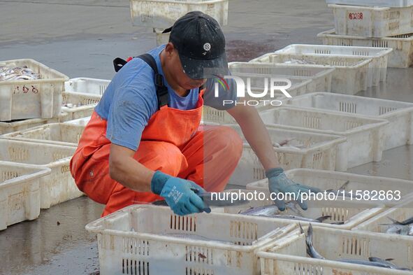 Citizens buy various kinds of seafood unloaded at Jimiya fishing Port in the West Coast New Area in Qingdao, China, on September 18, 2024. 