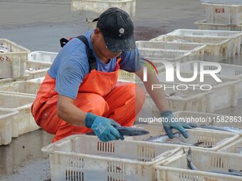 Citizens buy various kinds of seafood unloaded at Jimiya fishing Port in the West Coast New Area in Qingdao, China, on September 18, 2024. (