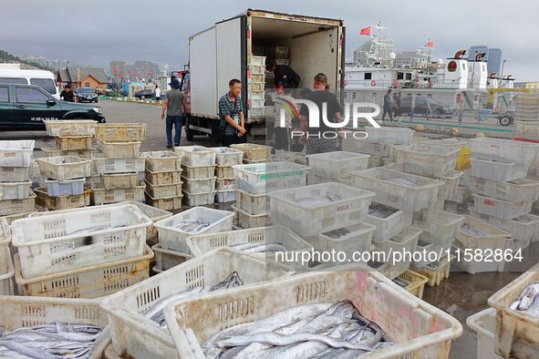 Citizens buy various kinds of seafood unloaded at Jimiya fishing Port in the West Coast New Area in Qingdao, China, on September 18, 2024. 