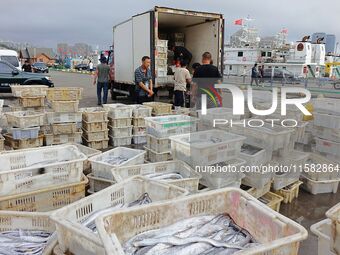 Citizens buy various kinds of seafood unloaded at Jimiya fishing Port in the West Coast New Area in Qingdao, China, on September 18, 2024. (