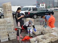 Citizens buy various kinds of seafood unloaded at Jimiya fishing Port in the West Coast New Area in Qingdao, China, on September 18, 2024. (