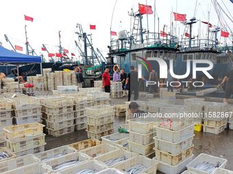 Citizens buy various kinds of seafood unloaded at Jimiya fishing Port in the West Coast New Area in Qingdao, China, on September 18, 2024. (