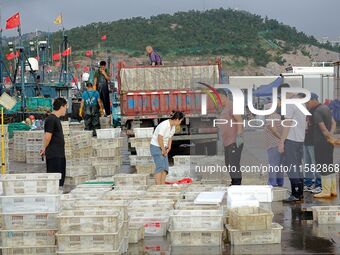 Citizens buy various kinds of seafood unloaded at Jimiya fishing Port in the West Coast New Area in Qingdao, China, on September 18, 2024. (