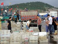 Citizens buy various kinds of seafood unloaded at Jimiya fishing Port in the West Coast New Area in Qingdao, China, on September 18, 2024. (