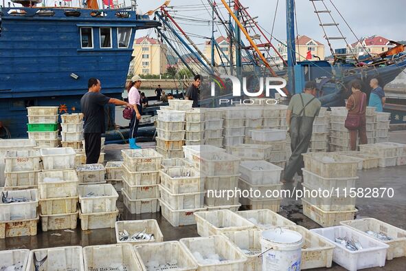 Citizens buy various kinds of seafood unloaded at Jimiya fishing Port in the West Coast New Area in Qingdao, China, on September 18, 2024. 