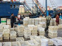 Citizens buy various kinds of seafood unloaded at Jimiya fishing Port in the West Coast New Area in Qingdao, China, on September 18, 2024. (