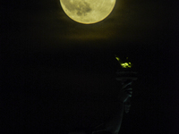 A partial lunar eclipse and supermoon occur in New York, United States, on September 17, 2024, as captured from Liberty Park in New Jersey....