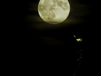 A partial lunar eclipse and supermoon occur in New York, United States, on September 17, 2024, as captured from Liberty Park in New Jersey....