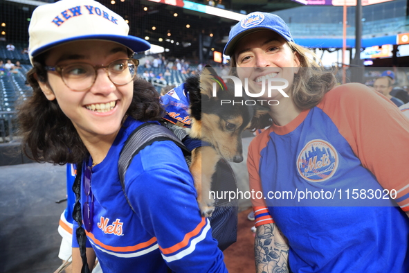 Fans and their pets participate in ''Bark in the Park'' on the field before the baseball game between the Washington Nationals and New York...