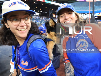 Fans and their pets participate in ''Bark in the Park'' on the field before the baseball game between the Washington Nationals and New York...