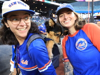 Fans and their pets participate in ''Bark in the Park'' on the field before the baseball game between the Washington Nationals and New York...