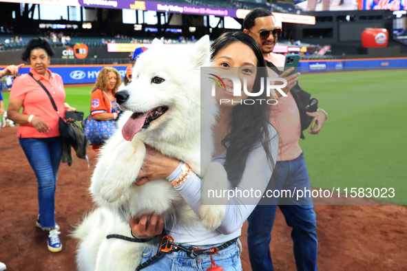 Fans and their pets participate in ''Bark in the Park'' on the field before the baseball game between the Washington Nationals and New York...