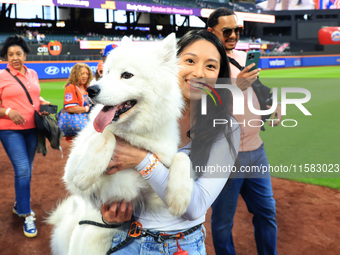 Fans and their pets participate in ''Bark in the Park'' on the field before the baseball game between the Washington Nationals and New York...