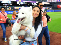 Fans and their pets participate in ''Bark in the Park'' on the field before the baseball game between the Washington Nationals and New York...