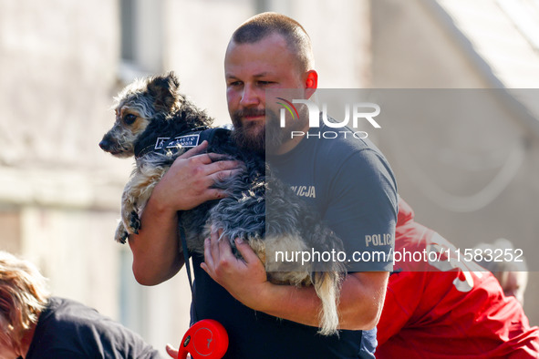 A dog is being evacuated by a policeman after Nysa Klodzka river flooded town of Lewin Brzeski in southwestern Poland, on September 17th, 20...