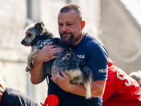 A dog is being evacuated by a policeman after Nysa Klodzka river flooded town of Lewin Brzeski in southwestern Poland, on September 17th, 20...