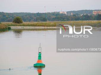 A buoy is seen floating in the Oder river in Frankfurt (Oder) on 17 September, 2024. After warnings of increasing water levels on several ri...