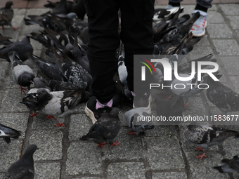 Tourists feed pigeons in the rain on the Main Square in Krakow, Poland, on August 21, 2024. (