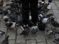 Tourists feed pigeons in the rain on the Main Square in Krakow, Poland, on August 21, 2024. (