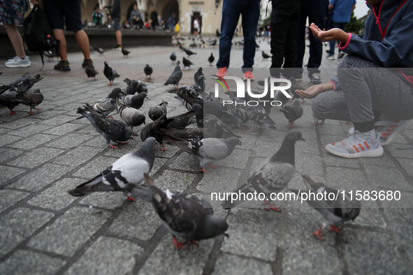 Tourists feed pigeons in the rain on the Main Square in Krakow, Poland, on August 21, 2024. 