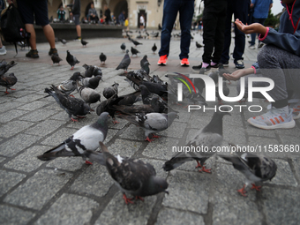 Tourists feed pigeons in the rain on the Main Square in Krakow, Poland, on August 21, 2024. (