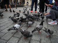 Tourists feed pigeons in the rain on the Main Square in Krakow, Poland, on August 21, 2024. (