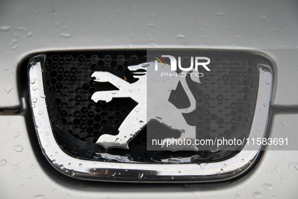 The Peugeot logo in the rain appears on the street in Krakow, Poland, on August 21, 2024. 