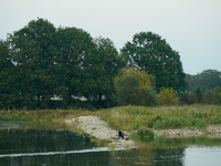 A fisherman is seen on the Polish side of the Oder river in this photo taken in Frankfurt (Oder) on 17 September, 2024. After warnings of in...