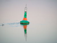 A buoy is seen floating in the Oder river in Frankfurt (Oder) on 17 September, 2024. After warnings of increasing water levels on several ri...