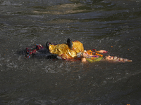 Hindu devotees immerse the idol of Vishwakarma, the god of machines and metallurgy, in the Bagmati River on the outskirts of Kathmandu, Nepa...