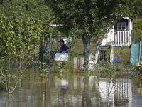 A man carries a pet transporter as he looks for stray cats in submerged social gardens on the outskirts of Wroclaw, Poland, on September 18,...