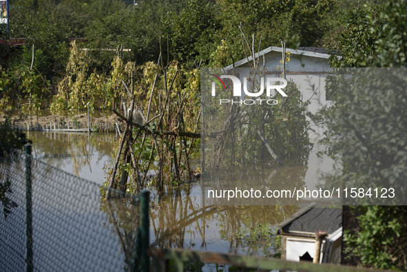 Vegetables are submerged by floodwaters as the flood reaches the outskirts of Wroclaw, Poland, on September 18, 2024. The government outline...