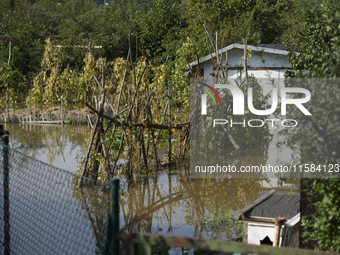 Vegetables are submerged by floodwaters as the flood reaches the outskirts of Wroclaw, Poland, on September 18, 2024. The government outline...