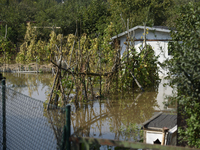 Vegetables are submerged by floodwaters as the flood reaches the outskirts of Wroclaw, Poland, on September 18, 2024. The government outline...