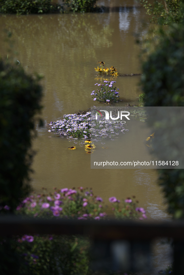 Flowers are submerged by floodwaters as the flood reaches the outskirts of Wroclaw, Poland, on September 18, 2024. The government outlines a...