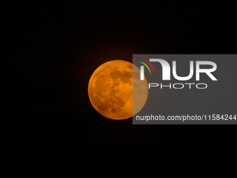 A view of the harvest moon in Tehatta, India, on September 18, 2024 (