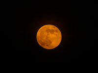 A view of the harvest moon in Tehatta, India, on September 18, 2024 (