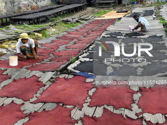 Workers set wet leather at a tannery in Dhaka, Bangladesh, on September 18, 2024. (