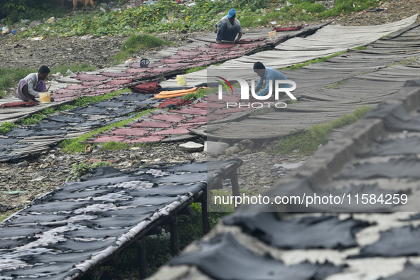 Workers set wet leather at a tannery in Dhaka, Bangladesh, on September 18, 2024. 