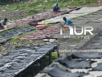 Workers set wet leather at a tannery in Dhaka, Bangladesh, on September 18, 2024. (