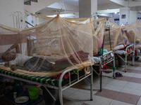 Dengue patients lie inside mosquito nets at Mugda Medical College and Hospital in Dhaka, Bangladesh, on September 18, 2024. (